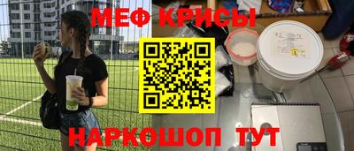 гашик Кингисепп