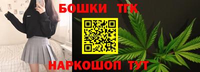 гашик Кингисепп