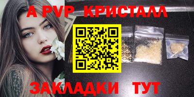 гашик Кингисепп