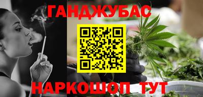 гашик Кингисепп