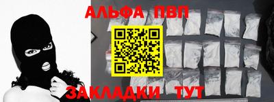 гашик Кингисепп