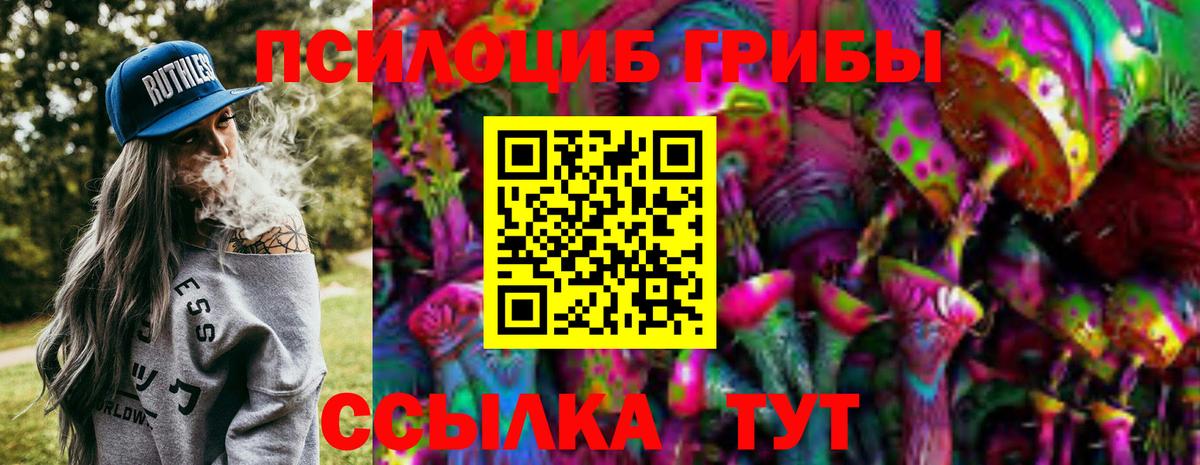 Галлюциногенные грибы Psilocybe  Вход с VPN  Псилоцибиновые грибы GOLDEN TEACHER  Кудрово 