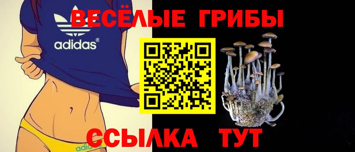 Галлюциногенные грибы мухоморы Кудрово